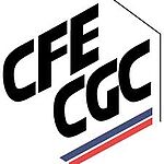 Photo de la CFE CFC, partenaire de Dauphine Executive Education (formation continue de l'Université Paris Dauphine-PSL)